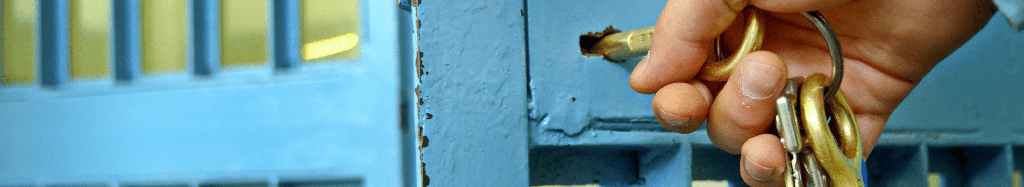 Custodial Fire and Security Systems