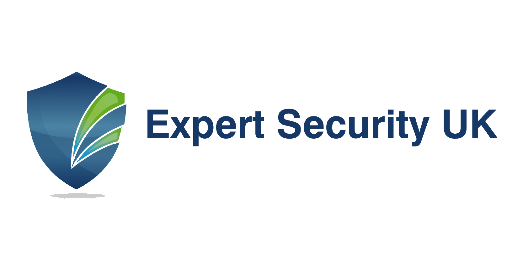 Expert Security Logo