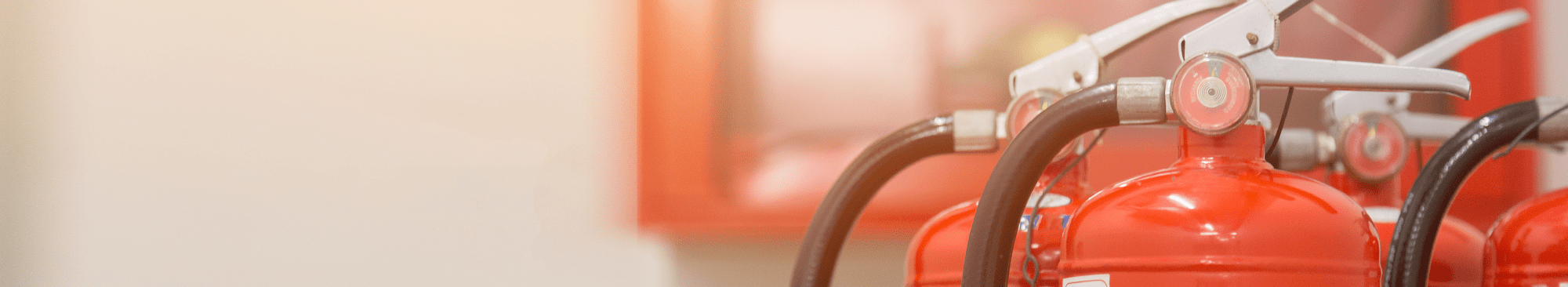 Portable Fire Extinguishers